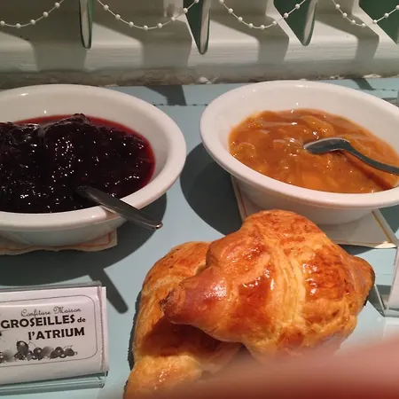 Logis Atrium Golbey Epinal